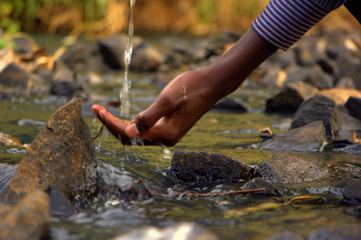 How Your Morning Coffee Could Help Save the Ocean