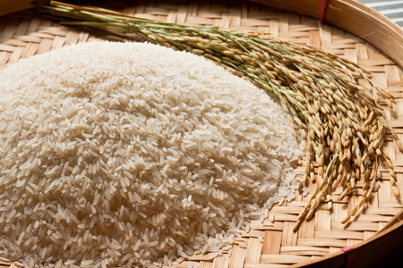 Rice: It's What's for Breakfast, Lunch, Dinner... and Saving the World